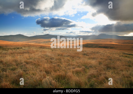 Wicklowberge, Irland Stockfoto