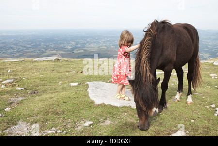 Kleine Mädchen streicheln eine verwilderte Pottok Pony auf La Rhune Berg- und Beobachtung zeigen, Baskenland, Frankreich Stockfoto