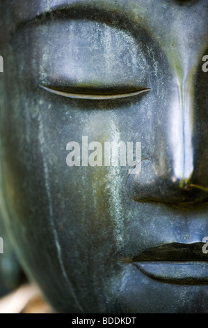 Buddha Gesicht Garten Skulptur Stockfoto