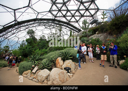 2497. mediterrane Biome, Eden Project, Bodelva, St Austell, Cornwall Stockfoto