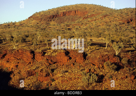 Dales Gorge in der Hamersley Ranges Karijini-Nationalpark Westaustraliens. Stockfoto