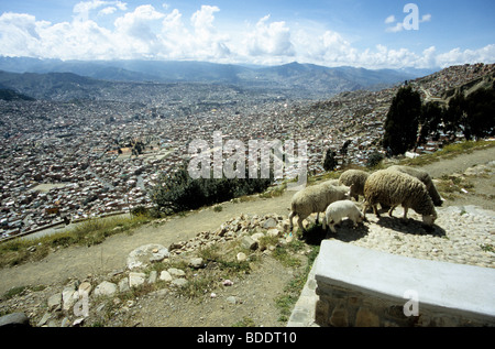 La Paz, die Hauptstadt von Bolivien, gesehen vom Rand des riesigen natürlichen Schüssel, die in der es sitzt. Stockfoto