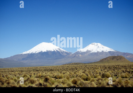 Vulkane der chilenischen Nationalpark Lauca gesehen aus der Wüste Hochebene über die Grenze in Bolivien. Stockfoto