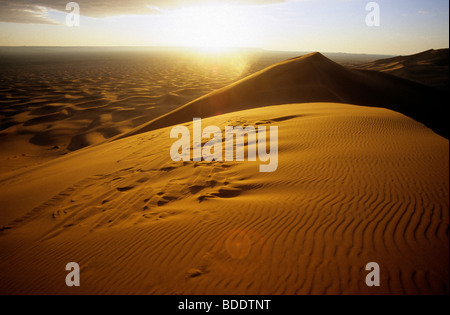 Sonnenaufgang über die hohen Dünen des Erg Chebbi Sand Meeres in der marokkanischen Sahara. Stockfoto