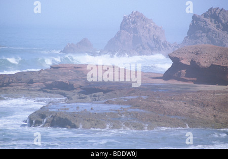 Rock-Stacks und Welle schneiden Plattformen an der atlantischen Küste von Marokko Stockfoto