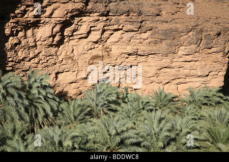 Die üppigen beschränkt sondern kleine Schlucht mit Tafelbergen Oase in den Bergen von Adrar von Mauretanien, in der Sahara. Stockfoto