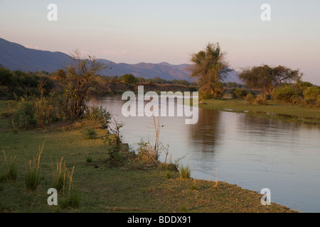 Sambia, Lower Zambesi Nationalpark, Chongwe River Camp. Sonnenuntergang Stockfoto