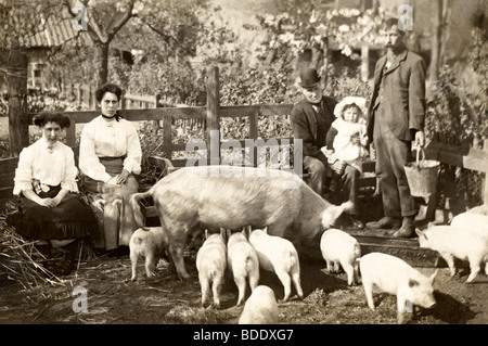 Eine Familie mit ihren Schweinen bei Feeding Time Stockfoto