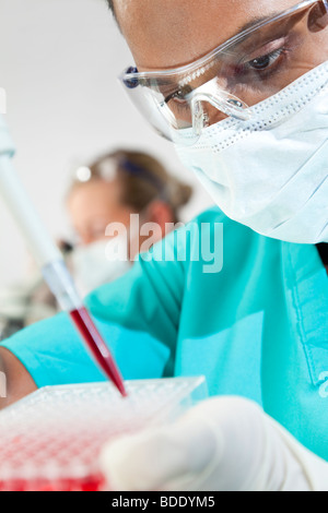 Eine asiatische medizinische oder wissenschaftliche Forscher oder Arzt arbeitet mit einer Pipette, Blutproben und ein gut Tablett in einem Labor Stockfoto