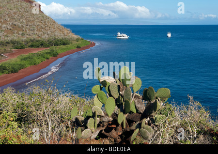 Küste über rote Strand und festgemachten Kreuzfahrt Boote in der Bucht, Insel Rabida, Galapagos-Inseln, Ecuador, Südamerika. Stockfoto