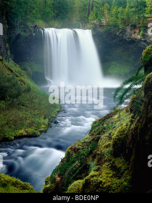 Koosah fällt auf den McKenzie River-Oregon-USA Stockfoto