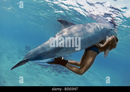 Schnorchler Interaktion mit wilden Tümmler (Tursiops Truncatus) Nuweiba, Ägypten - Rotes Meer. Stockfoto