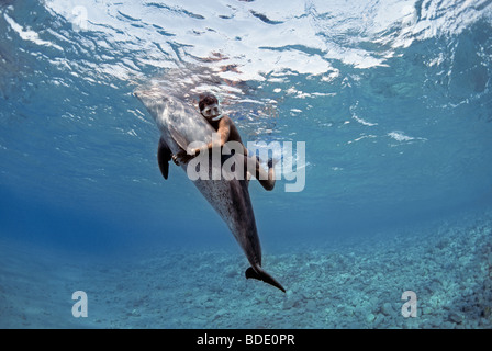 Schnorchler Interaktion mit wilden Tümmler (Tursiops Truncatus) Nuweiba, Ägypten - Rotes Meer. Stockfoto