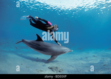 Schnorchler mit Tümmler (Tursiops Truncatus), Nuweiba, Ägypten - Rotes Meer schwimmen. Stockfoto