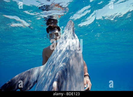 Schnorchler Interaktion mit wilden Tümmler (Tursiops Truncatus) Nuweiba, Ägypten - Rotes Meer. Stockfoto