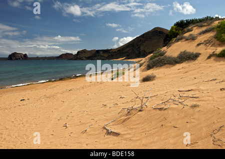 Blick über den Strand entlang der Küste Insel Rabida, Galapagos-Inseln, Ecuador, Südamerika. Stockfoto