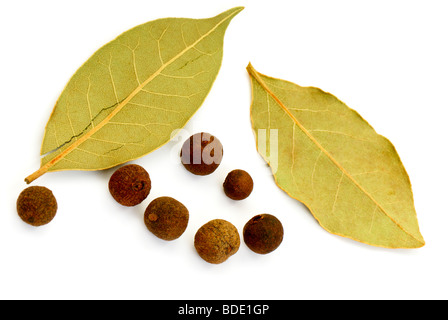 Gewürze auf weißem Hintergrund.  Lorbeerblätter und duftigen Pfeffer Stockfoto