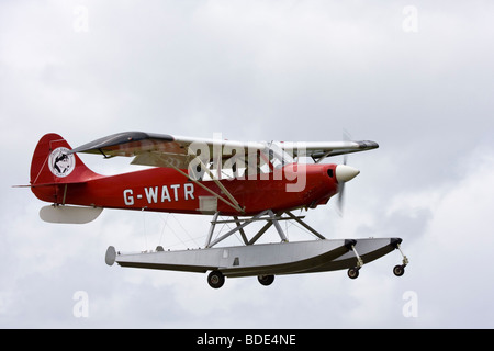 Aviat Husky a-1 zwei Sitz Hochdecker leichte Dienstprogramm Flugzeuge Stockfoto