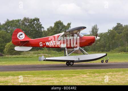 Aviat Husky a-1 zwei Sitz Hochdecker leichte Dienstprogramm Flugzeuge Stockfoto