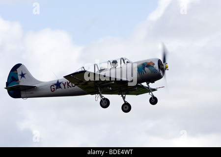 Kosaken aerobatic team Yakolev Yak-52 Stockfoto