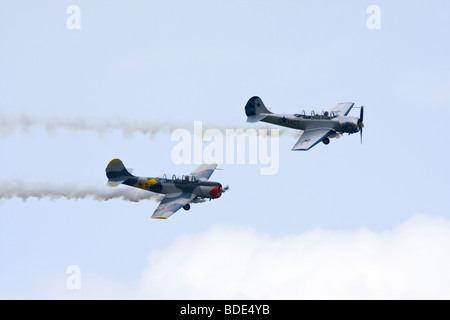 Kosaken aerobatic team Yakolev Yak-52 Stockfoto