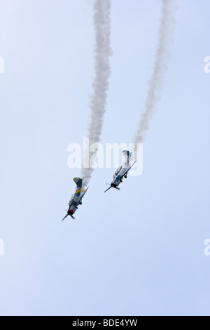 Kosaken aerobatic team Yakolev Yak-52 Stockfoto