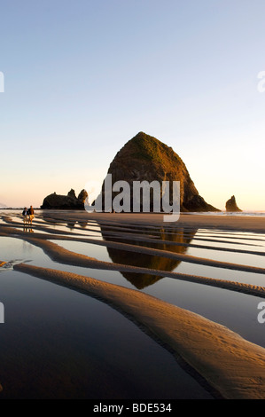 Paare, die am Strand Stockfoto