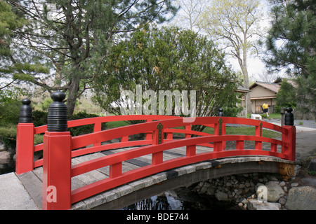 Michigan, MI, mich, Upper Midwest, Saginaw County, Saginaw, Japanisches Kulturzentrum und Teehaus, asiatisch inspirierte Bogenbrücke, Vermillion, rot, Bach, tre Stockfoto