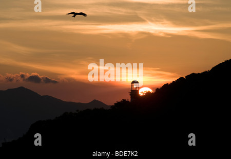 Chinesischen schwarzen Milane (Milvus Migrans) und grüne Insel-Leuchtturm, Hong Kong, China. Stockfoto