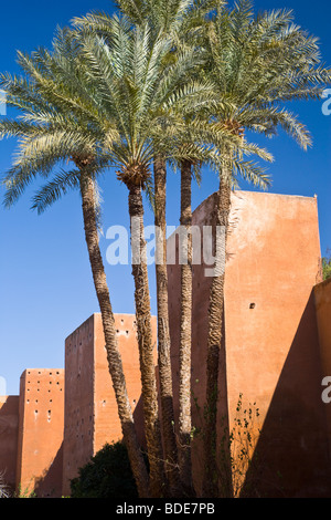 Palmen in der Saadian Gräber in der Kasbah, Medina, Marrakesch, Marokko, Nordafrika Stockfoto