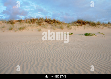 Meer und weißen Dünen an der baltischen Küste im westlichen Lettland Stockfoto