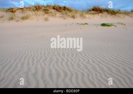 Meer und weißen Dünen an der baltischen Küste im westlichen Lettland Stockfoto