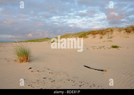 Meer und weißen Dünen an der baltischen Küste im westlichen Lettland Stockfoto