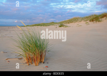 Meer und weißen Dünen an der baltischen Küste im westlichen Lettland Stockfoto