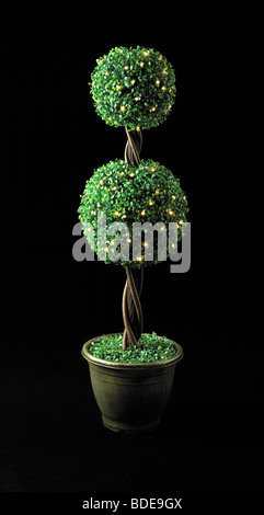 Baum mit Lichter sitzen auf schwarzem Hintergrund Stockfoto