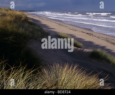 Die Dünen und Strand in Druridge Bay, Northumberland, Großbritannien Stockfoto