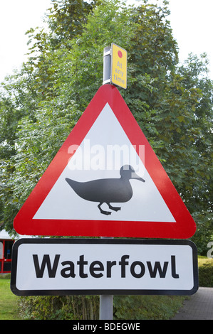 Wasservögel-Verkehrszeichen Stockfoto