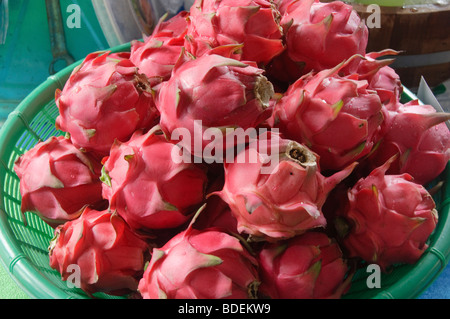 exotischen Drachenfrucht für Verkauf auf einem Markt in Bangkok Thailand Stockfoto