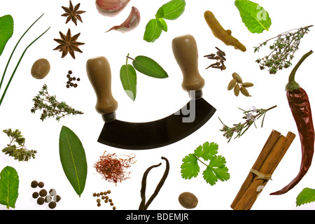 Gewürze und Würzmittel Stockfoto