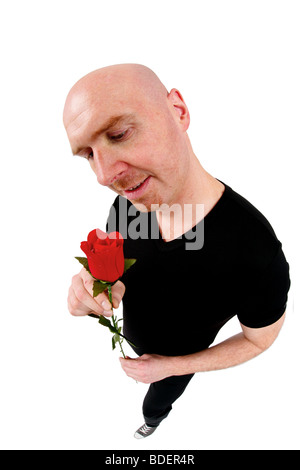 Glatze Mann mit roten Rose unter der Leitung Stockfoto