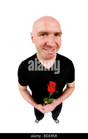 kahl leitete Mann, eine rote rose in der Hand halten Stockfoto