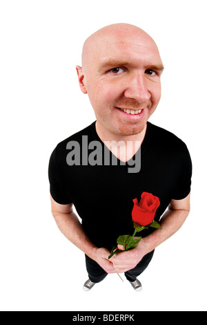 kahl leitete Mann, eine rote rose in der Hand halten Stockfoto