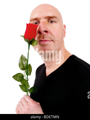 Glatze Mann mit roten Rose unter der Leitung Stockfoto