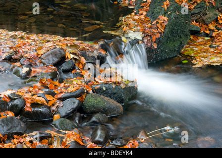 Ein Strom in Bösingen Yorkshire England Stockfoto
