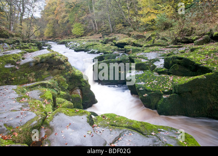 Fluß Wharfe Bolton Abbey Yorkshire England Stockfoto