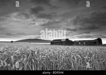 Blick auf Milk Hill auf den Pewsey Downs in der Nähe von Marlborough in Wiltshire, Großbritannien Stockfoto