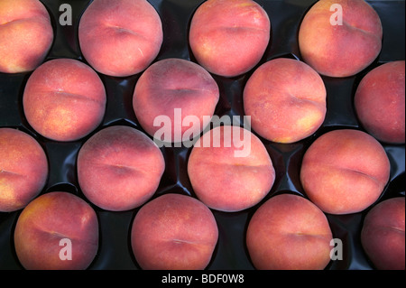 Pfirsiche in Verpackung tray' Juli Flamme" bei Farmers Market angezeigt. Stockfoto