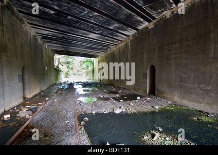 Die verlassene Bahnstrecke, bekannt als die "Bronx Sumpf" ist im Stadtteil Mott Haven in der Bronx in New York gesehen. Stockfoto