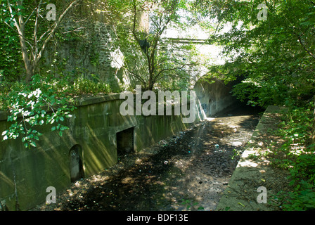 Die verlassene Bahnstrecke, bekannt als die "Bronx Sumpf" ist im Stadtteil Mott Haven in der Bronx in New York gesehen. Stockfoto