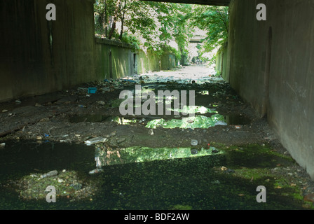 Die verlassene Bahnstrecke, bekannt als die "Bronx Sumpf" ist im Stadtteil Mott Haven in der Bronx in New York gesehen. Stockfoto